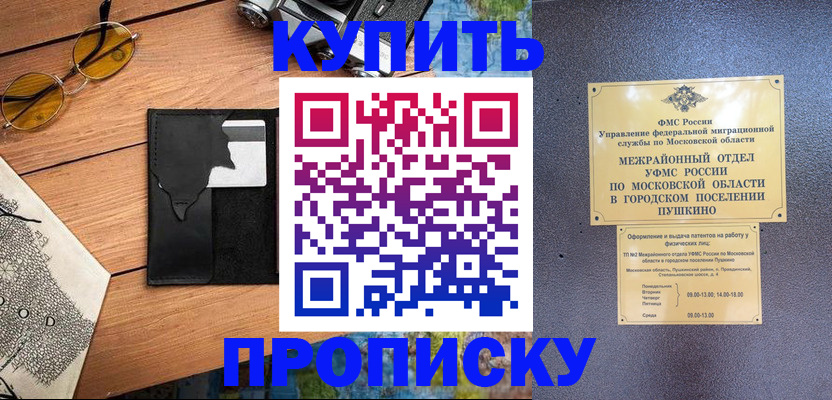временная регистрация для всех в Зиме
